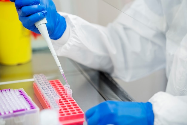 Exploring the Latest Innovations in Antibody Development and Immunoassay Technology